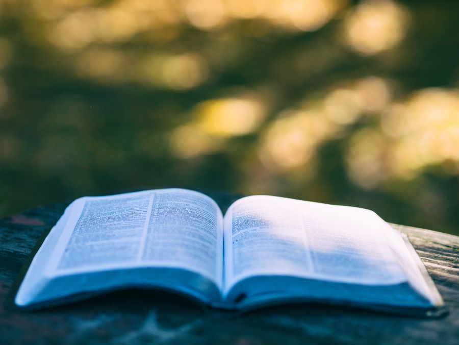 Offene Bibel